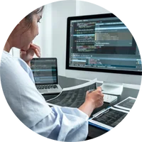 Database Programmer