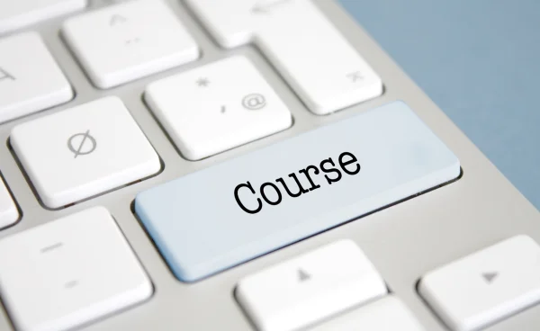 Explore the Courses